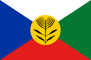 Bandera de Marcelo Yubini